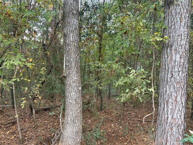 TBD Magnolia Duke Dr, Livingston, TX 77351 - photo 3