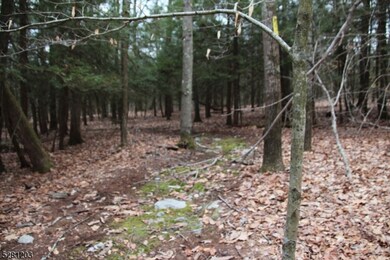 0 Mount Benevolence Rd, Stillwater Township, NJ 07860 - photo 4