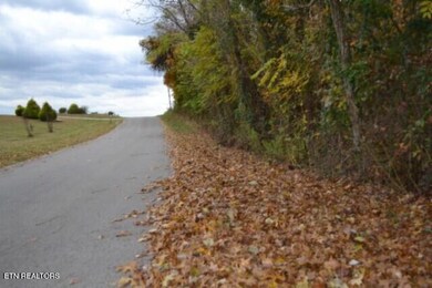 10.70ac Red Oak Ridge Rd, Celina, TN 38551 - photo 2