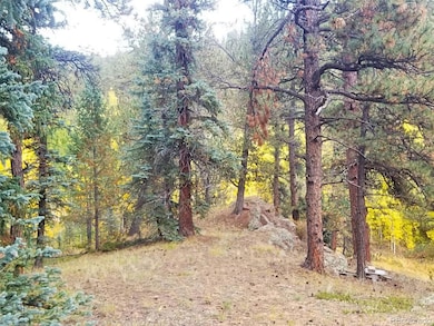 342 & 366 Brown Rd unit 70,71,72,73, Bailey, CO 80421 - photo 6