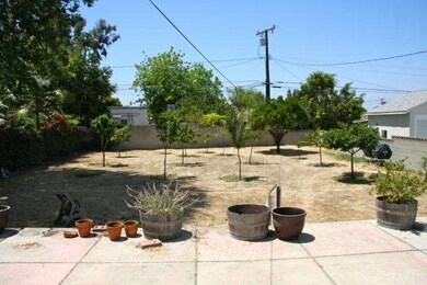 large yard with approx 12 fruit trees