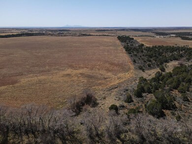 0 Tbdwp Highway 141, Dove Creek, CO 81324 - photo 5