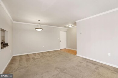 18336 Streamside Dr unit 203, Gaithersburg, MD 20879 - photo 4