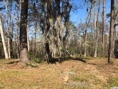 26 Rivers Edge Dr, Conway, SC 29526 - photo 4