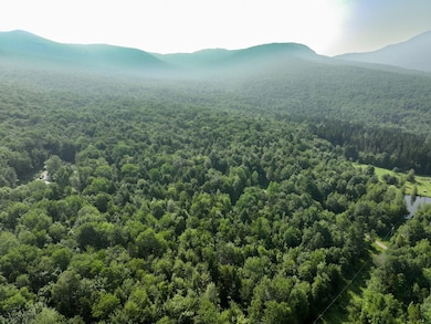 0 Amidon Rd, Montgomery, VT 05471 - photo 4
