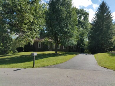 Mature Trees