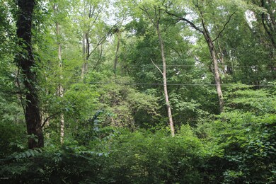 V/L Weaver Rd, Niles, MI 49120 - photo 4