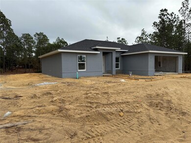 6587 Alpine Rd, Dunnellon, FL 34431 - photo 2