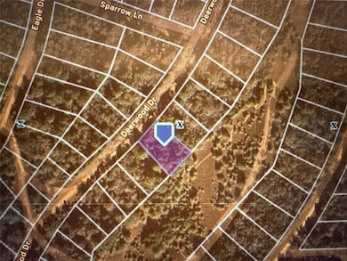 TBD Deerwood Dr, Hempstead, TX 77445 - photo 2