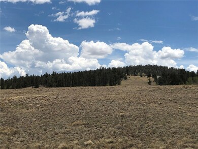 1332 Frees Loop, Hartsel, CO 80449 - photo 4
