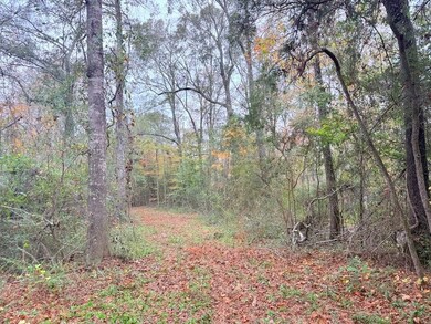 Tbd Union Church Rd unit LotWP001, Magnolia, MS 39652 - photo 7