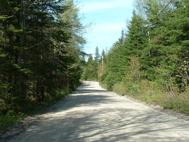 Lot 7B Duck Cove Rd, Roque Bluffs, ME 04654 - photo 3