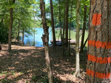 13 & 13A River Trail, Martin, GA 30557 - photo 5