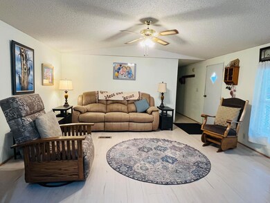 325 State Highway Pp, Sycamore, MO 65760 - photo 2