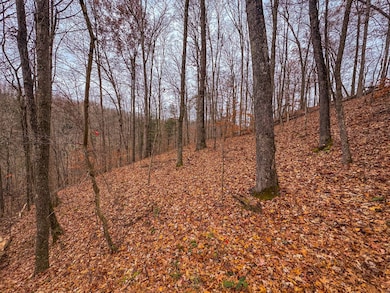 0 County Road 30 unit 11616318, MacFarlan, WV 26148 - photo 3