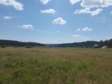 0 E Meadow Ln unit 100432, Duck Creek, UT 84762 - photo 5