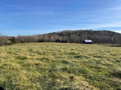 231 Highway 1003, Somerset, KY 42501 - photo 4