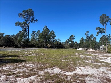 2298 Eldorado Ct, Saint Cloud, FL 34771 - photo 6