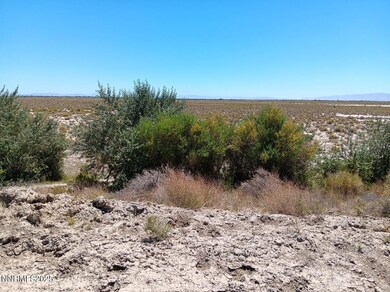 APN 007-091-71 Casey Rd, Fallon, NV 89406 - photo 4