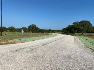 135 Sandy Ct, Decatur, TX 76234 - photo 4