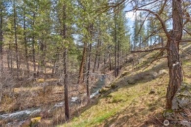 0 Lot 1 2 Box Canyon Rd, Goldendale, WA 98620 - photo 4