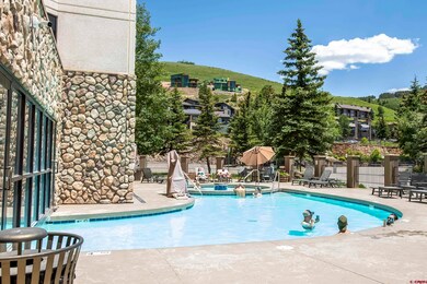 6 Emmons Rd unit 218, Crested Butte, CO 81225 - photo 5