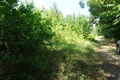 000 Stokes Rd, Bald Knob, AR 72010 - photo 5