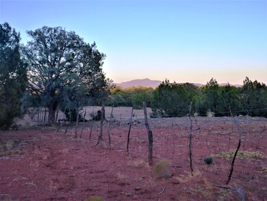 Fence on west side of property