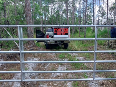 0 SW 75th St, Cedar Key, FL 32625 - photo 2