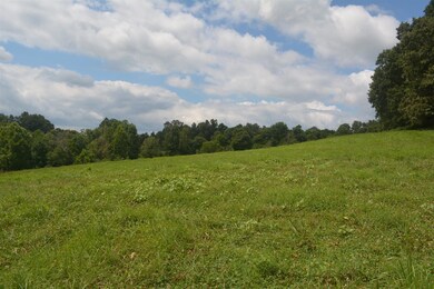  possibilities for this property are endless