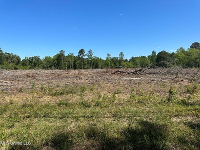 0 Davis Sawmill Rd, Lucedale, MS 39452 - photo 2