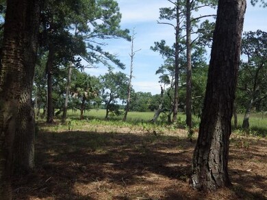 IMGP0009 (640x480)