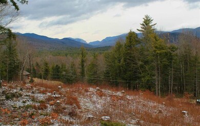 36 Partridge Dr, Woodstock, NH 03262 - photo 6