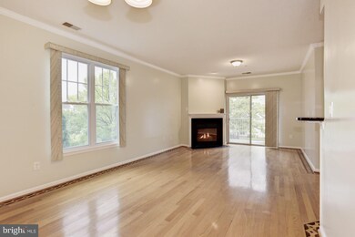 7420 Hindon Cir unit 201, Windsor Mill, MD 21244 - photo 3