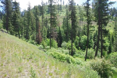 Lot 6 Blk1 Promontory, Harrison, ID 83833 - photo 3