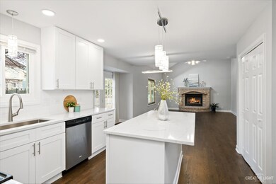 4831 Snapjack Cir, Naperville, IL 60564 - photo 4