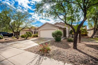 05 - Yuma