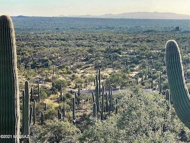 3051 N Placita de Nazca unit 1, Tucson, AZ 85749 - photo 3