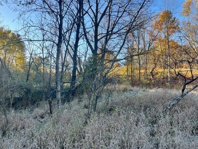 9955 Wiitala Rd, Copemish, MI 49625 - photo 6