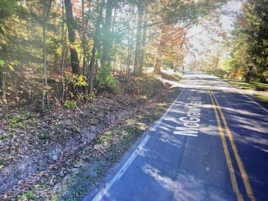 xx McGraw Gap Rd, Hot Springs, VA 24445 - photo 4