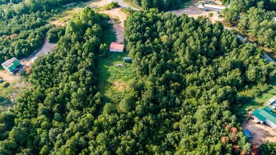 191 New Era Ridge Rd, Linden, TN 37096 - photo 5