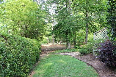 Backyard View 2