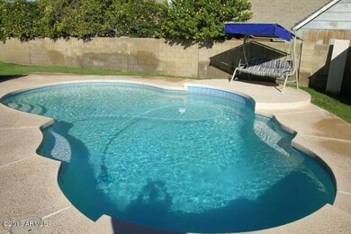 Beautiful Pool