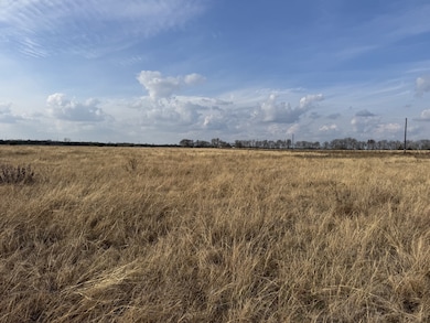 TBD Cr 22900, Paris, TX 75462 - photo 3