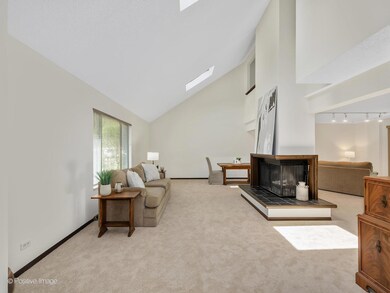 969 Collingwood Dr, Naperville, IL 60540 - photo 6