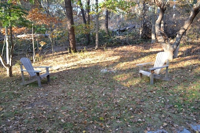 back yard