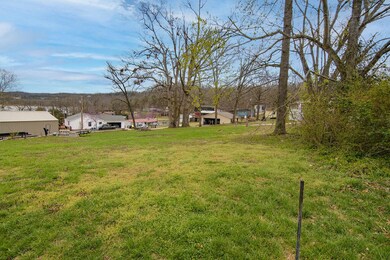 Tbd Cristin Ln, Flat Creek B Township, MO 65656 - photo 4