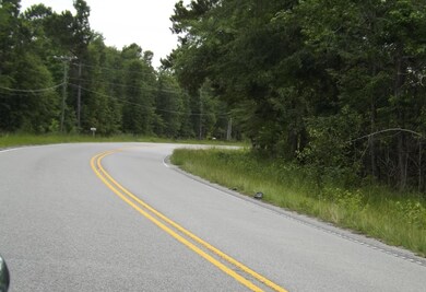 1199 Old Highway 6, Cross, SC 29436 - photo 5