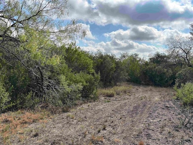 0 Farm To Market Road 889, George West, TX 78022 - photo 5