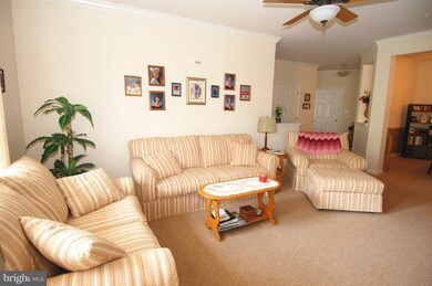 1011 Samantha Ln unit 102, Odenton, MD 21113 - photo 2